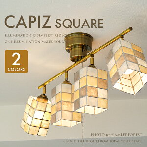 yCAPIZ SPOT with SQUAREz Ɩ 4^Cv 8 10 12 rO _CjO ڊ X Vbv X|bg^ X|bgCv 