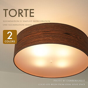 V[OCg TORTE ge 邢4^Cv Ebh̑fފbNXł邨ȃCeA yAF LIVINGz