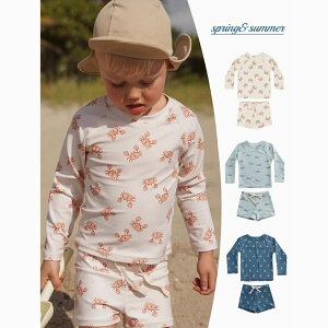 yXqtz fUCXCEFA 80cm~130cm xr[ ̎q 