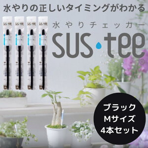 yMTCY 1{495~z `FbJ[ TXeB| MTCY(3~6p)zCg O[ ubN 4{Zbg sustee ^C~O Apv  y됅v  PH ϗtA K