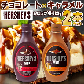 【1本あたり1,125円】ハーシー　チョコレートシロップ×キャラメルシロップ 623g×2本セット HERSHEY'S デザート 洋菓子 お菓子作り お菓子 製菓 手作り 材料 クリーミー ココア 国産乳製品 大容量 パーティ 北米 マレーシア 送料無料