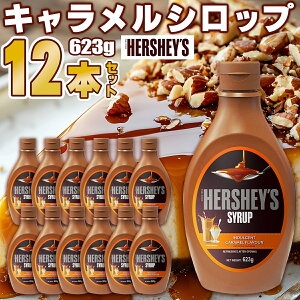 y1{875~ Ƀ|Cgzn[V[@LVbv 623g×12{Zbg P[X̔ HERSHEY'S fU[g Z fR[V mَq َq َq   ޗ N[