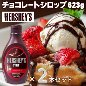 �y1�{������1125�~�z�n�[�V�[�@�`���R���[�g�V���b�v �y623g×2�{�Z�b�g�zHERSHEY'S �f�U�[�g �Z�� �f�R���[�V���� �R�R�A �m�َq ���َq��� ���َq ���� ���� �ޗ� �p�[�e�B �k�� �}���[�V�A 