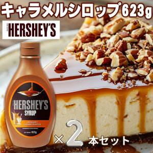 【1本あたり1125円】ハーシー キャラメルシロップ 【623g×2本セット】 HERSHEY'S デザート 濃厚 デコレーション 洋菓子 お菓子作り お菓子 製菓 手作り 材料 クリーミー 国産乳製品 大容量 パー