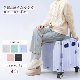 キャリーカート 折りたたみ 軽量 45L 大容量 フタ付 ショッピングカート 折りたたみキャリーカート 4輪 キャリー カート 軽量 台車 灯油 キャンプ アウトドア レジャー スポーツ 便利 荷台 コロコロ 荷物運び コンパクト