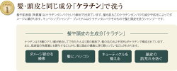 ランテージュキュベシノブシャンプープレミアム紹介4