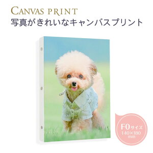 yŒZzF0i180×140mmj̈ꂢȃLoXvg ʐ^plBʐ^CXg𔭐FLoXɈB̕ҏWc[gĊȒPBʕełd