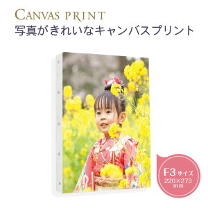 yŒZzF3i273×220mmj̈ꂢȃLoXvg ʐ^plBʐ^CXgGɎg锭FLoXɈB̕ҏWc[gĊȒPB