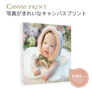 yŒZzSSMi227×227mmj̈ꂢȃLoXvg ʐ^plBʐ^CXgGɎg锭FLoXɈB̕ҏWc[gĊȒP