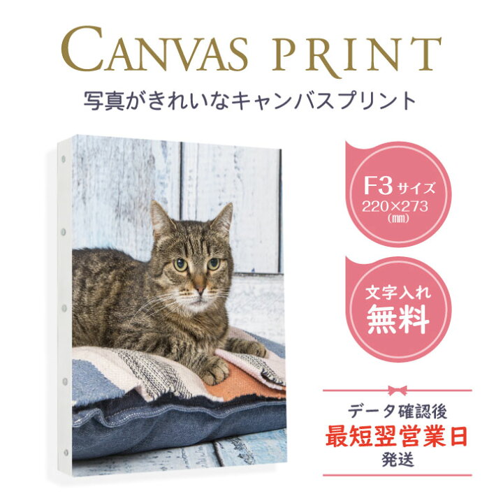 楽天市場 短納期対応 F3号 273 2mm 写真で作るキャンバスプリント 写真やイラストを送るだけでデザイナーが印刷 データを制作 名入れやメッセージの印刷無料 側面鋲打ち仕上げ アートボード アートパネル 写真パネル フォトパネル ギフト 七五三 ペット