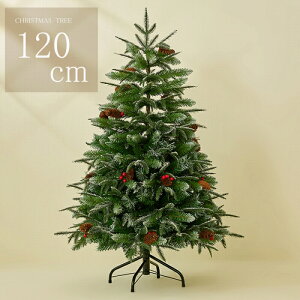 _^NX}Xc[  k 120cm  [bpgEqc[ I[ig  Zbg c[ k[hc[ ornament Xmas tree EurPot ڂt gݗ5 U炩Ȃ 