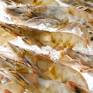 yⓀznCYLCVJEAC̕(JEACVv)1kg(30`40)x10