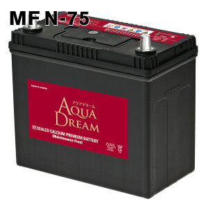 N-75 ANAh[  p obe[ N75 AChOXgbvΉ AQUA DREAM 