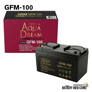 GFM100 �A�N�A�h���[�� �T�C�N���T�[�r�X �Ɩ��p�o�b�e���[ 100Ah VRLA ����َ����~�d�r AGV �d�����|�@ ������Ǝ� �d���Ԉ֎q �Y�Ɨp�~�d�r GFM�V���[�Y ����