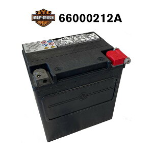 HD 66000212A �n�[���[�_�r�b�g�\�� ���� AGM �o�C�N�o�b�e���[ HD66000212A ��֗p �݊� 66010-97C 66010-97D �n�[���[ ��������