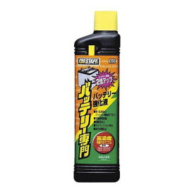 PROSTAFF プロスタッフ バッテリー添加剤 バッテリー専門 【 60 】 250ml 注入用チューブ付き