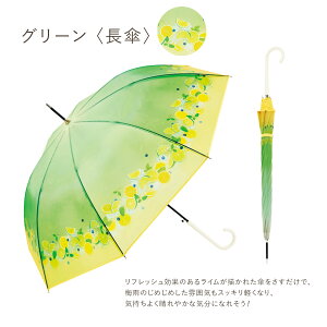 yvg × because ̃R{PzP fB[X vg t[cCeB[ NAAu JP P ܂肽ݎP P[Xt ^b` Wv OXt@Co[ pE_[