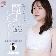 ＼発売以来大好評／ 和装ブラ 和装ブラジャー 補正下着 胸つぶし パッド付き フロントファスナー [全方向…