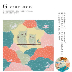 y50cmzC~ ނ 50 kata kata ނ I[KjbN ӂ낵 100 I[KjbNRbg J^J^ ȓ {  ӂ낵 Mtg ٓ v`Mtg GRobO 