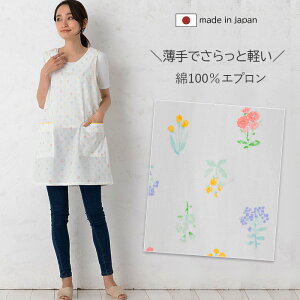 Gv  ԕ  100 k t[ fB[X V[g Vv i` 킢 { J[uK[fwtGv M|L n2vt02 `jbN made in japan ̓ hV