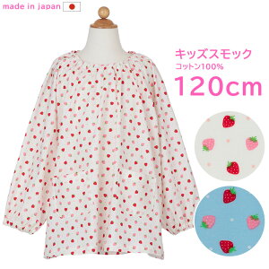 LbY ǂ XbN120cm Gv  { t ʃC`S SKG02-120̎q  K G  p wN w  j 킢 ct ۈ牀 {