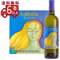 【6本〜送料無料】ドンナフガータ アンティリア 2024-25 DONNAFUGATA Anthilia イタリア シチリア 白ワイ…