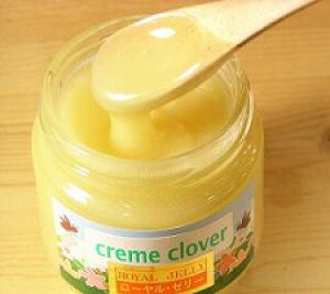 y݂͂XAAz C񕜂ɂ̓RII [[[z N[n`~c I250g yVVjAs  ݂͂ C[[    