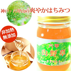 y9/4 20:00`400~OFFN[|zzIz݂͂ Y M Y ZbR쑐 Ɛ 500g y_˃ZNV2020܁z Ε I n`~c { nj[ HONEY rl AA