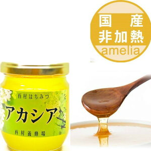 ݂͂ Y Ɛ AJVAI 250g  ɌY ZbR Mtg Ε j i ސE  n`~c rl nj[