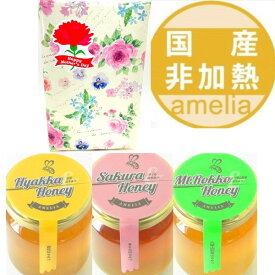 【4/14 20:00～300円OFFクーポン配布中！】ギフト 国産 非加熱 はちみつ 125g 3本セット 母の日 プレゼント お中元 お歳暮 内祝い 敬老の日 贈答品 父の日 退職 お礼 蜂蜜 ハチミツ 福袋 送料無料 アメリア amelia 西村はちみつ