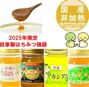 y9/4 20:00`400~OFFN[|zzIz݂͂ Y M Y  yAJVAI݂ɕύX܂z ̓ ̓ ݂͂ n`~c 500g 4{Zbg nj[ HONEY I rl 