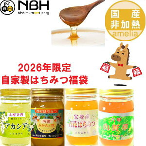 �͂��݂� ���Y ����M ���Y�� ���� �y���I�A�J�V�A���k�C���A�J�V�A�ɕύX���܂����z ���Ε� ��̓� ���̓� �͂��݂� �n�`�~�c 500g 4�{�Z�b�g �n�j�[ HONEY �I�� �r�l ���Y�I�� �������� ameria 