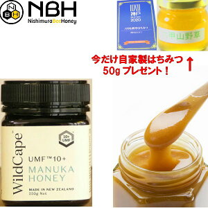 Wild Cape (ChP[v) }kJnj[ UMF10+ 250g j[W[h}kJnj[iUMFHAjF Rۊx10.4I Mtg Ε I n`~c ݂͂ nj[
