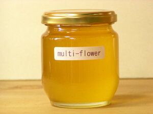 }`t[ ݂͂ 250g Ji_Y SԖ^CvȂ NZȂĎg₷