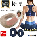 【15日限定 全品P5倍以上確定】 極厚プラス登場【整骨院院長推薦】 円座クッション 返品OK 腰痛 痔 産後 高反発 ドーナツクッション 痔ろう 出産後 妊婦 在宅 お尻 姿勢 サポート アシスト 穴あき 産後 ドーナツ 車 運転 滑り止め プレゼント 送料無料