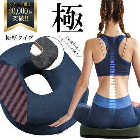 【規格外のビッグサイズ登場】 極厚プラス 円座クッション 大きめ 腰痛 痔 産後 高反発 ドーナツクッション 痔ろう 出産後 妊婦 在宅 お尻 姿勢 サポート アシスト 穴あき 産後 ドーナツ 車 運転 滑り止め プレゼント 送料無料