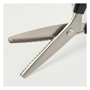 NtgnT~ sLOnT~ MUMUnT~ nT~ ق΂ MUMU=R^ g^ zp MUMUnT~ |pnT~ g^  ؂ꖡ | ٖD Ntg͂ ɂ