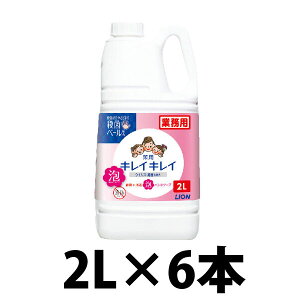  Ɩp LCLC pAnh\[v 2bg ×6{