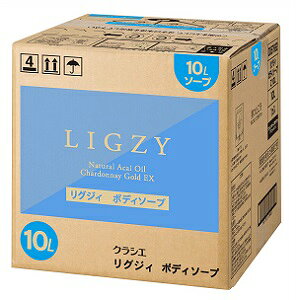 NVG LIGZY(OWBj {fB\[v Ɩp 10bg 