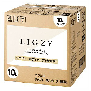 NVG LIGZY(OWBj {fB\[v  10bg Ɩp 