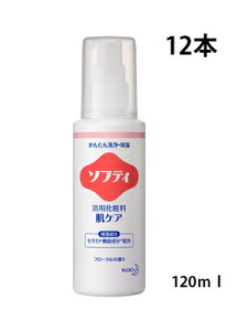  \teB pϗ PA 120mL Ɩp120ml×12{