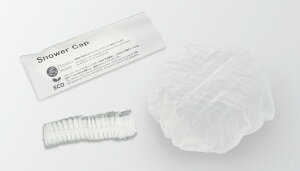 �������� �u�����V���[�Y �V�����[�L���b�vC20 �i�A�R�[�f�B�I���^�C�v�j 2000��