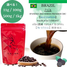 【ブラジル 最大イパネマ農園 ブルーエディション カシス ＊11g/ 100g / 500g /1kg 】イパネマ農園 リオヴェルデ B19 Black Currant カシス コーヒー豆 スペシャルティコーヒー 自家焙煎豆 ブラジル コーヒー ギフト プレゼント 奈良 オリジナル 珈琲