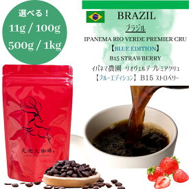 【ブラジル イパネマ農園 ブルーエディション ストロベリー ＊11g / 100g / 500g / 1kg 】イパネマ農園 リオヴェルデ B15 Strawberry ストロベリー コーヒー豆 スペシャルティコーヒー 自家焙煎豆 ブラジル コーヒー ギフト プレゼント 奈良 オリジナル 珈琲
