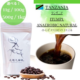 【タンザニア イトゥンピ アナエロビックナチュラル ＊ 11g / 100g / 500g / 1kg】タンザニア イトゥンピAMCOS コーヒー豆 スペシャルティコーヒー 自家焙煎豆 11g 100g 500g 1kg タンザニア コーヒー ギフト プレゼント 奈良 オリジナル 珈琲