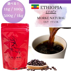 エチオピア モルケ コーヒー豆 スペシャルティコーヒー 自家焙煎豆 100g 500g 1kg エチオピア ギフト プレゼント 奈良 オリジナル 珈琲