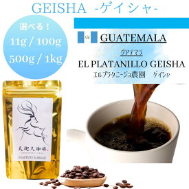【グアテマラ エルプラタニージョ農園 ゲイシャ＊11g / 100g / 500g / 1kg 】 コーヒー豆 スペシャルティコーヒー 自家焙煎豆 11g / 100g / 500g / 1kg グアテマラ エルプラタニージョ農園 ゲイシャ コーヒー ギフト プレゼント 奈良 オリジナル 珈琲
