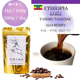 【エチオピア タミル・タデッセ ALO ベリー underscreen ＊11g / 50g / 100g / 500g / 1kg】コーヒー豆 スペシャルティコーヒー 自家焙煎豆 エチオピア タミル・タデッセ アロコーヒー ギフト プレゼント 奈良 オリジナル 珈琲