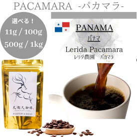 【パナマ パカマラ レリダ農園 】パカマラ コーヒー豆 スペシャルティコーヒー 自家焙煎豆 100g パナマ パカマラ コーヒー ギフト プレゼント 奈良 オリジナル 珈琲