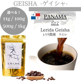 【パナマ ゲイシャ レリダ農園 】ゲイシャ コーヒー豆 スペシャルティコーヒー 自家焙煎豆 11g 100g 500g 1kg パナマ ゲイシャコーヒー ギフト プレゼント 奈良 オリジナル 珈琲